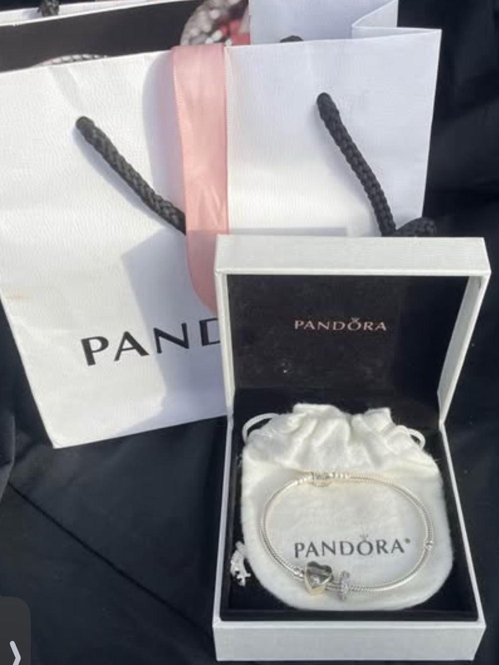 Pandora Moments Sterling Silver Bracelet with 2 Charms – New in Box